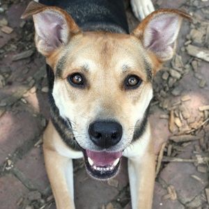 Meet your Posher, Jess